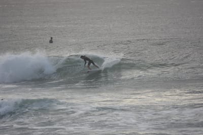 DSC_1105.JPG