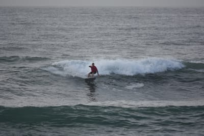 DSC_1113.JPG