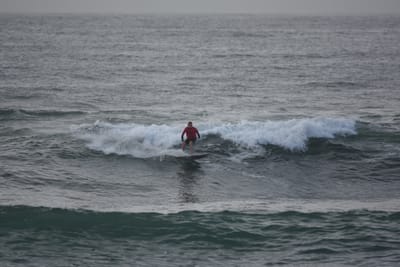 DSC_1115.JPG