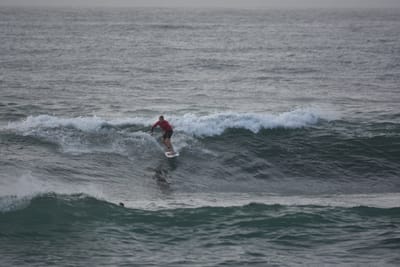 DSC_1117.JPG