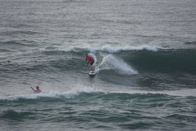 DSC_1119.JPG