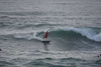 DSC_1126.JPG