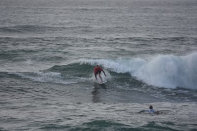 DSC_1128.JPG