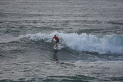 DSC_1129.JPG