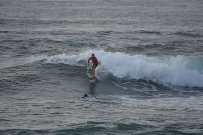 DSC_1130.JPG