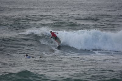 DSC_1131.JPG