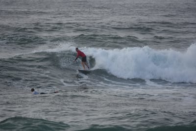 DSC_1132.JPG