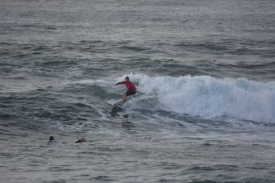DSC_1134.JPG