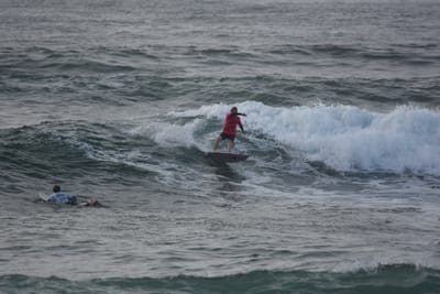 DSC_1135.JPG