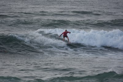DSC_1137.JPG