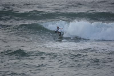 DSC_1146.JPG