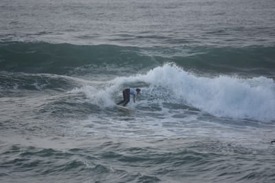 DSC_1151.JPG