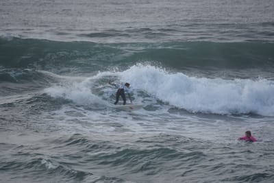 DSC_1152.JPG