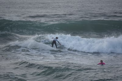 DSC_1153.JPG