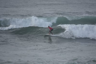 DSC_1174.JPG