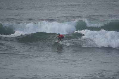 DSC_1175.JPG