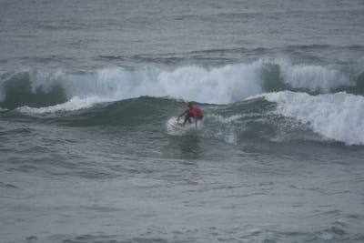 DSC_1176.JPG