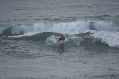 DSC_1177.JPG