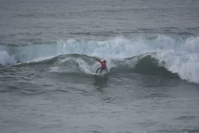 DSC_1179.JPG