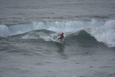 DSC_1180.JPG