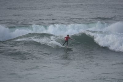 DSC_1181.JPG