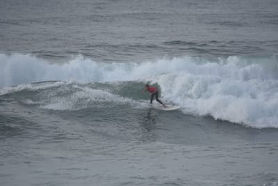 DSC_1182.JPG