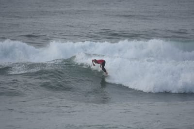 DSC_1183.JPG