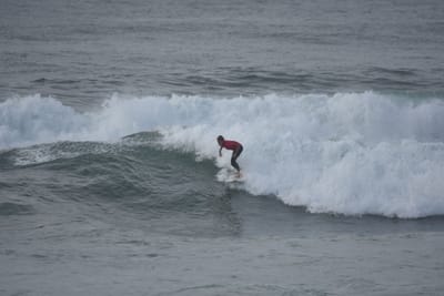 DSC_1184.JPG