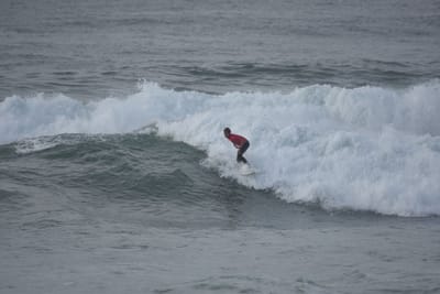DSC_1185.JPG