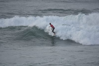 DSC_1186.JPG
