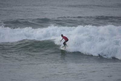 DSC_1187.JPG