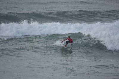 DSC_1190.JPG
