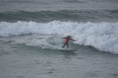 DSC_1194.JPG