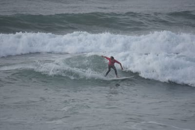 DSC_1195.JPG