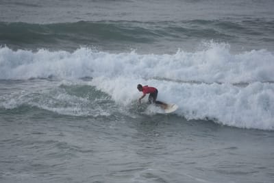 DSC_1196.JPG