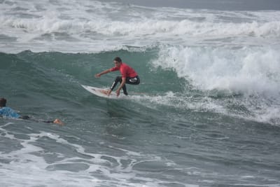 DSC_1341.JPG