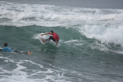 DSC_1342.JPG