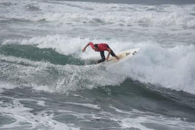 DSC_1347.JPG