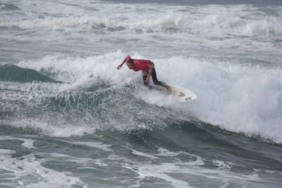 DSC_1348.JPG