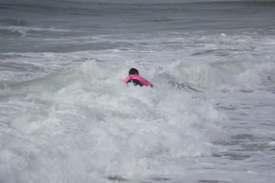 DSC_1382.JPG