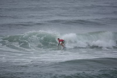 DSC_1417.JPG