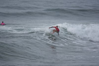 DSC_1428.JPG