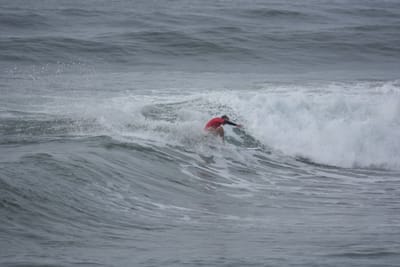 DSC_1432.JPG
