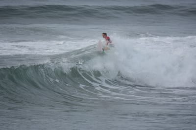 DSC_1437.JPG