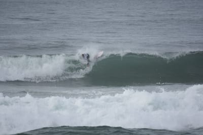 DSC_1450.JPG