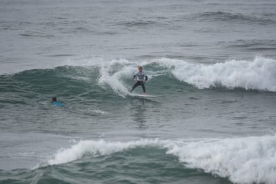 DSC_1468.JPG