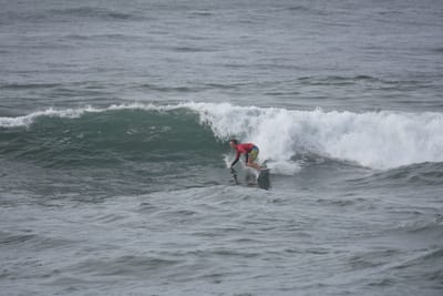 DSC_1500.JPG
