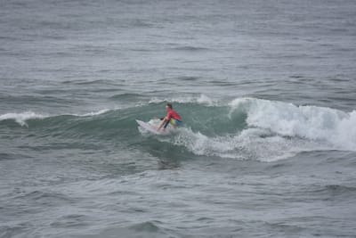 DSC_1501.JPG