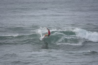 DSC_1503.JPG