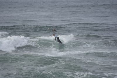 DSC_1510.JPG
